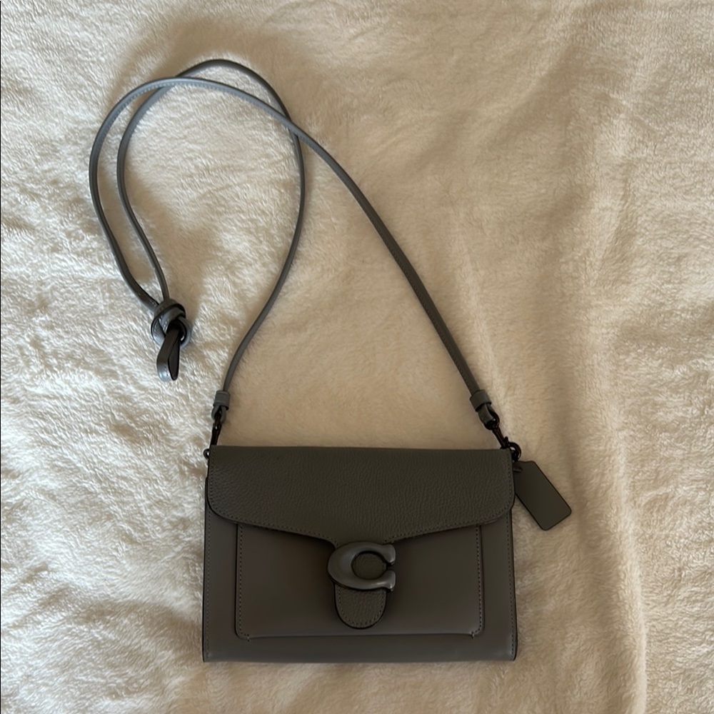 Coach Gray Leather Crossbody Bag - Tabby Chain Clutch
